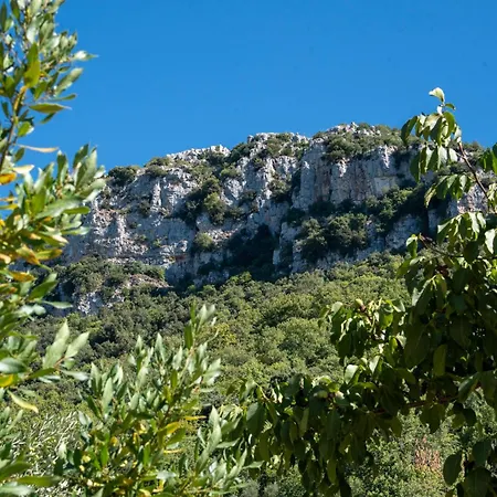 Immersi Nella Natura